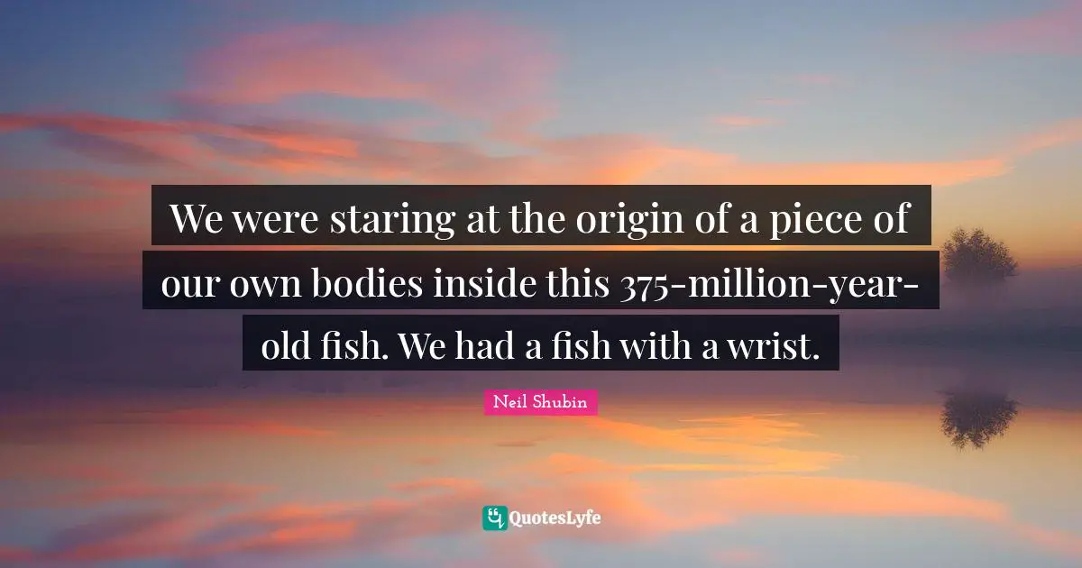 We were staring at the origin of a piece of our own bodies inside this 375-million-year-old fish. We had a fish with a wrist.