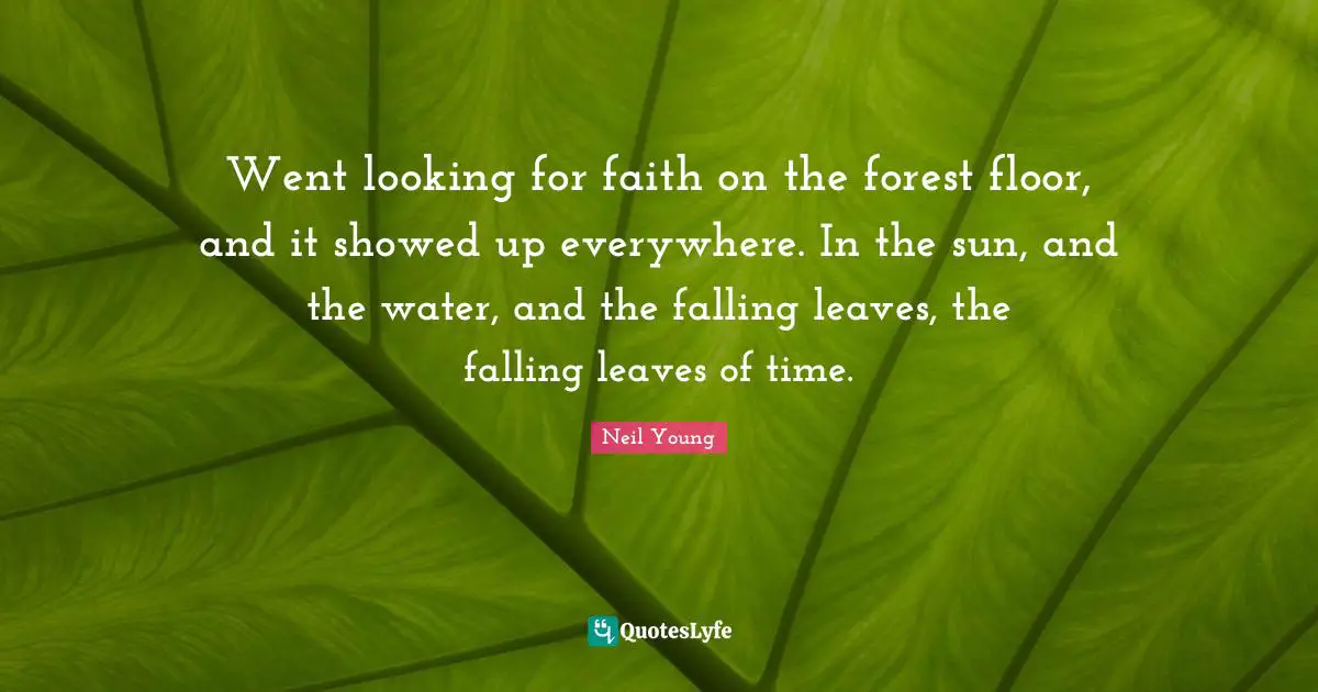 Went looking for faith on the forest floor, and it showed up everywhere. In the sun, and the water, and the falling leaves, the falling leaves of time.