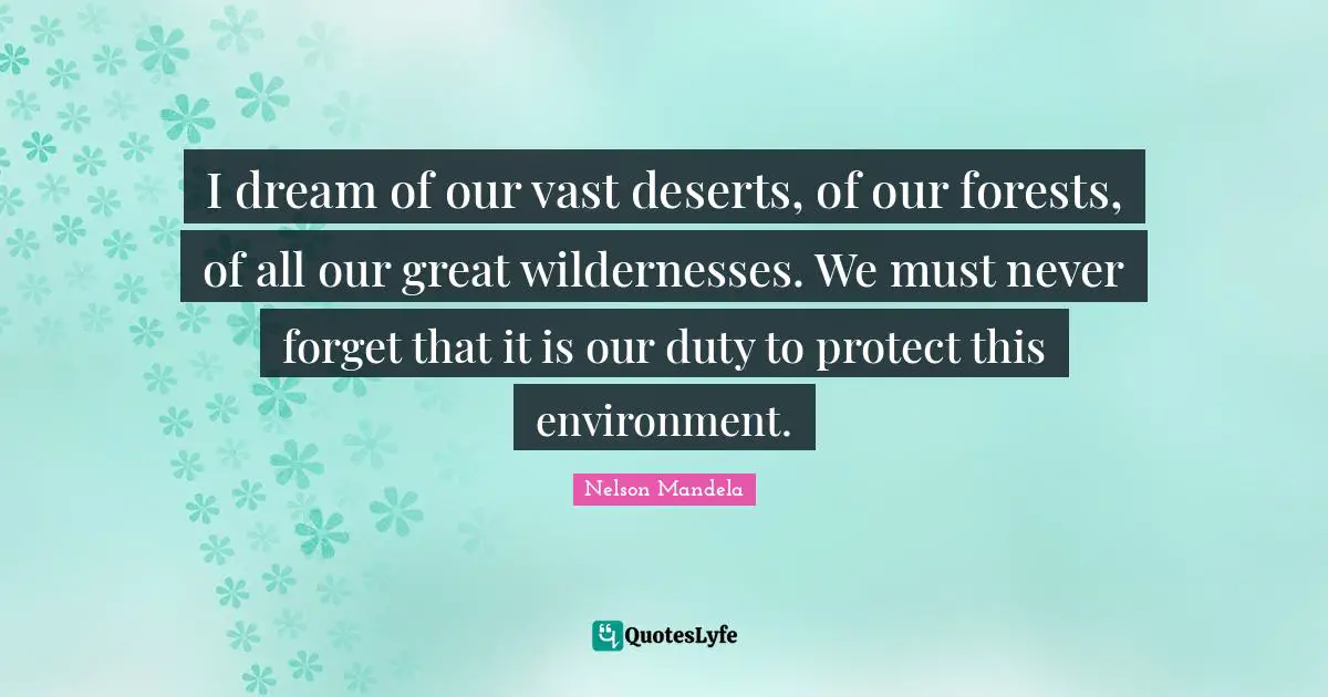 I dream of our vast deserts, of our forests, of all our great wildernesses. We must never forget that it is our duty to protect this environment.