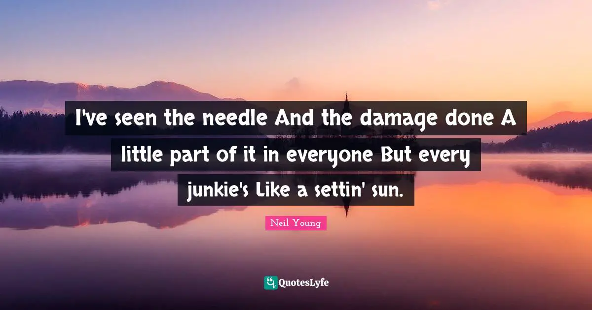 I've seen the needle And the damage done A little part of it in everyone But every junkie's Like a settin' sun.