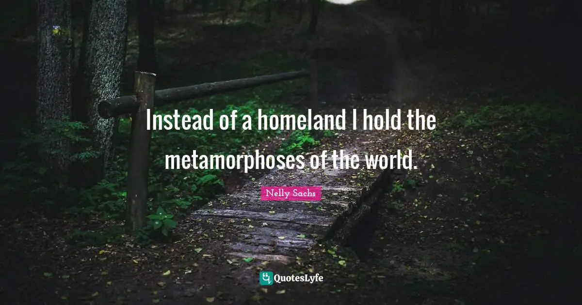 Metamorphosis Quotes: "Instead of a homeland I hold the metamorphoses of the world."