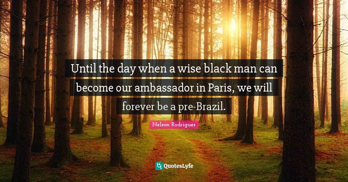 Until the day when a wise black man can become our ambassador in Paris, we will forever be a pre-Brazil.