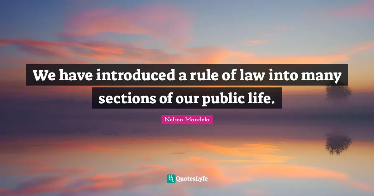 We have introduced a rule of law into many sections of our public life.