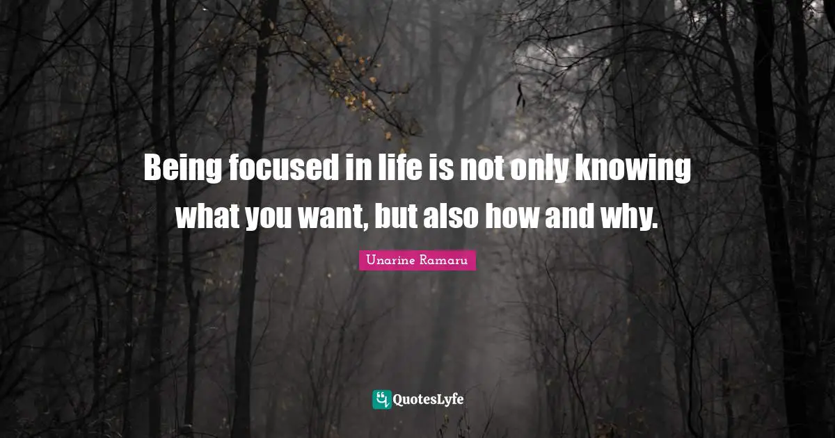 Being focused in life is not only knowing what you want, but also how and why.