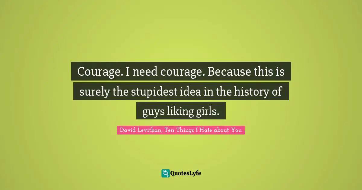 Courage. I need courage. Because this is surely the stupidest idea in the history of guys liking girls.