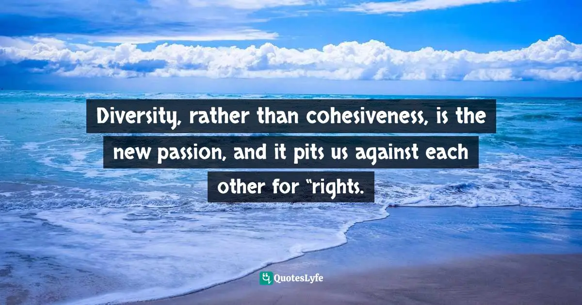 Diversity, rather than cohesiveness, is the new passion, and it pits us against each other for “rights.