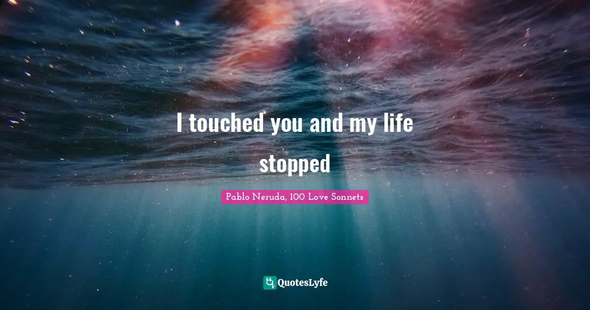 Pablo Neruda, 100 Love Sonnets Quotes: "I touched you and my life stopped"