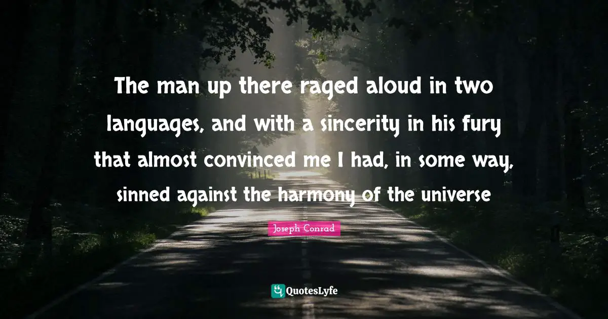 The man up there raged aloud in two languages, and with a sincerity in his fury that almost convinced me I had, in some way, sinned against the harmony of the universe