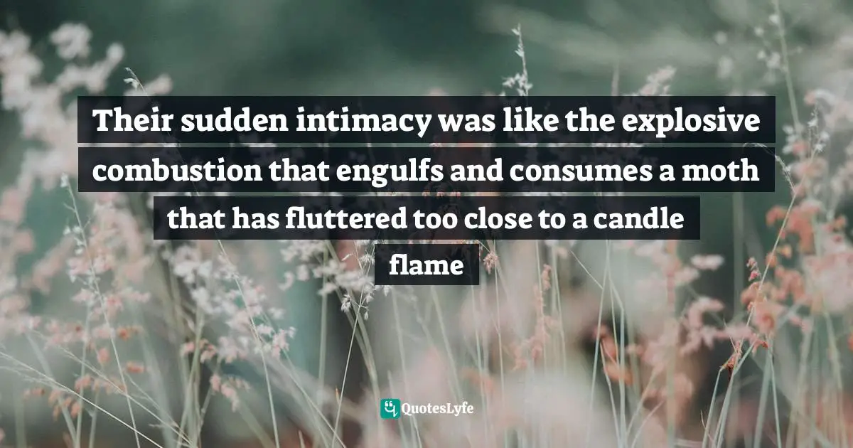 Their sudden intimacy was like the explosive combustion that engulfs and consumes a moth that has fluttered too close to a candle flame