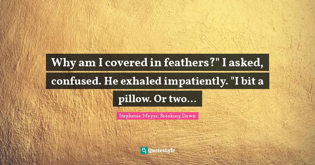 Why am I covered in feathers?" I asked, confused. He exhaled impatiently. "I bit a pillow. Or two...