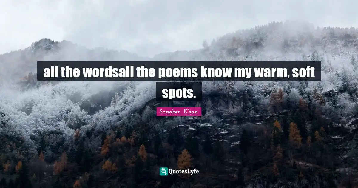 all the wordsall the poems know my warm, soft spots.