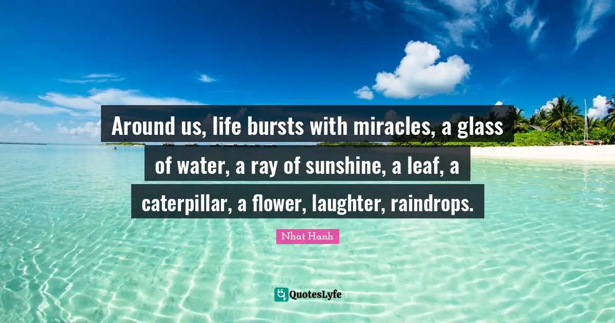 Flower Quotes: "Around us, life bursts with miracles, a glass of water, a ray of sunshine, a leaf, a caterpillar, a flower, laughter, raindrops."