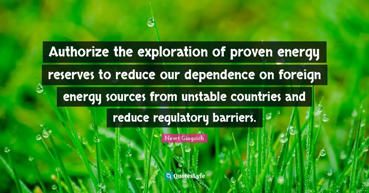 Authorize the exploration of proven energy reserves to reduce our dependence on foreign energy sources from unstable countries and reduce regulatory barriers.
