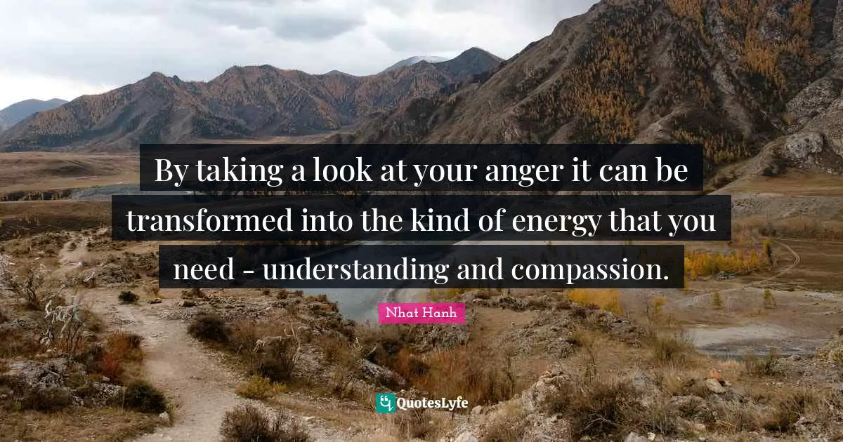 By taking a look at your anger it can be transformed into the kind of energy that you need - understanding and compassion.