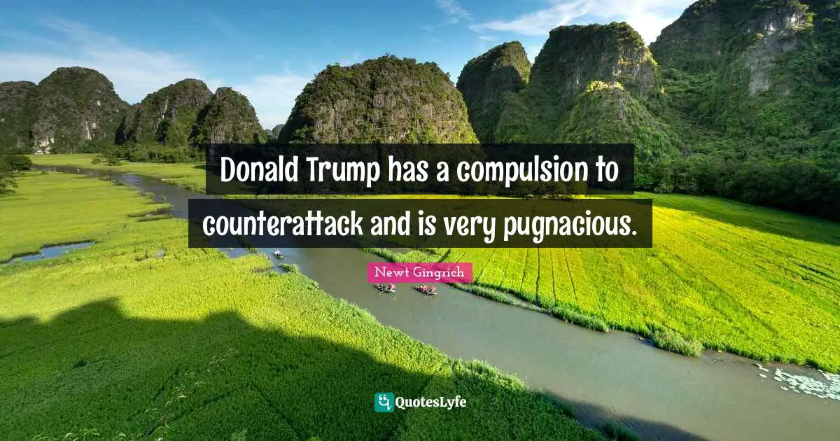 Donald Trump has a compulsion to counterattack and is very pugnacious.
