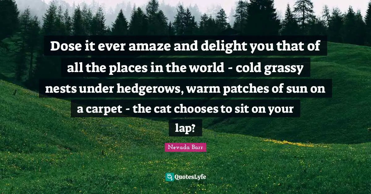 Places In The World Quotes: "Dose it ever amaze and delight you that of all the places in the world - cold grassy nests under hedgerows, warm patches of sun on a carpet - the cat chooses to sit on your lap?"