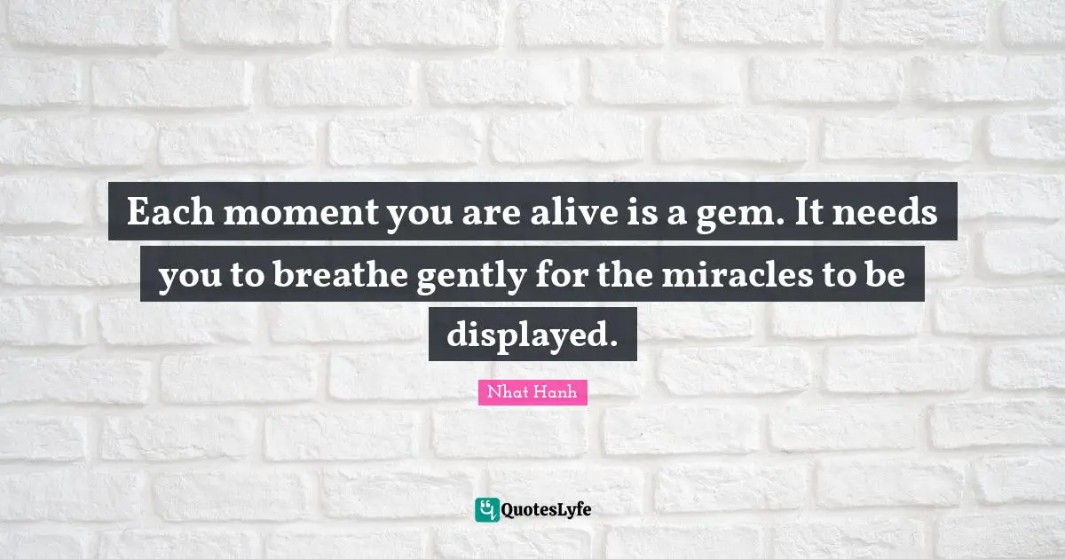 Each moment you are alive is a gem. It needs you to breathe gently for the miracles to be displayed.