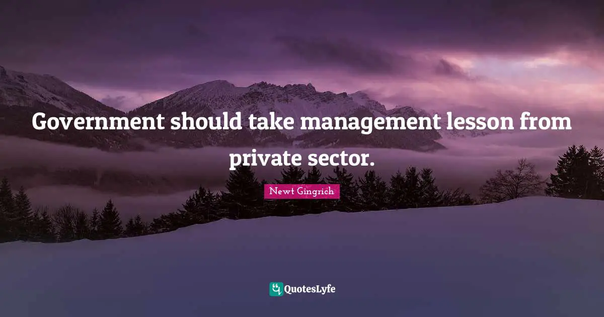 Government should take management lesson from private sector.