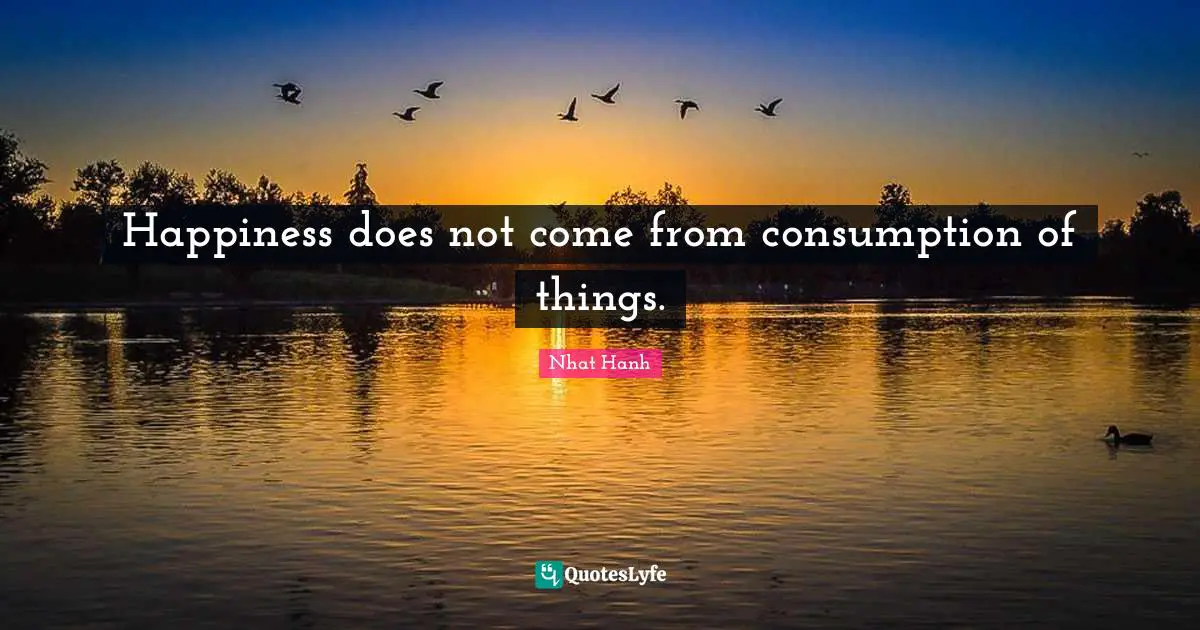 Happiness does not come from consumption of things.