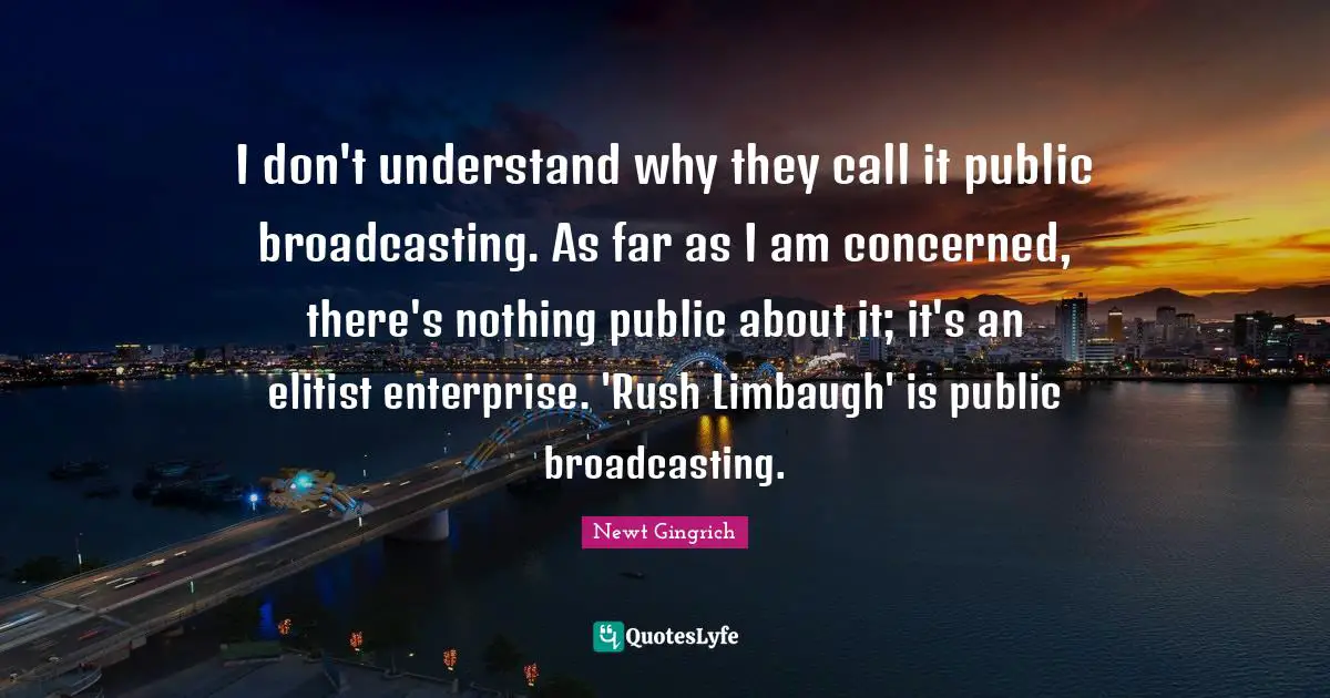 I don't understand why they call it public broadcasting. As far as I am concerned, there's nothing public about it; it's an elitist enterprise. 'Rush Limbaugh' is public broadcasting.