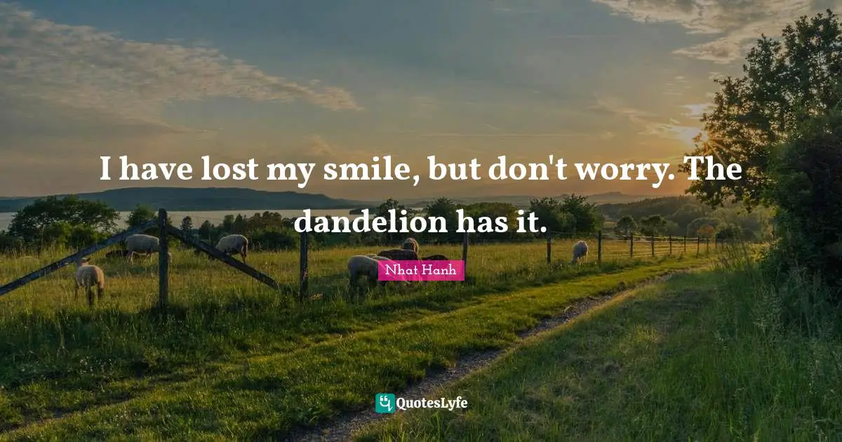 Dandelions Quotes: "I have lost my smile, but don't worry. The dandelion has it."