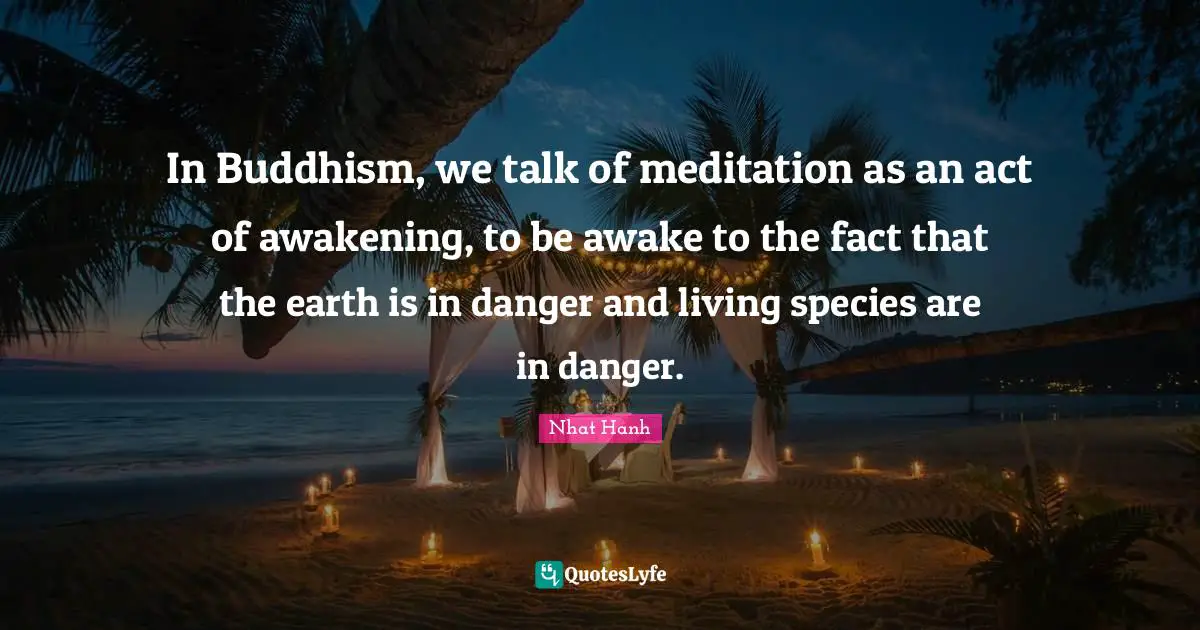In Buddhism, we talk of meditation as an act of awakening, to be awake to the fact that the earth is in danger and living species are in danger.