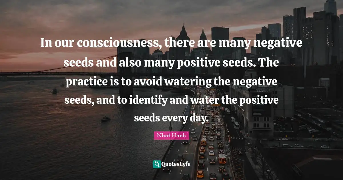 In our consciousness, there are many negative seeds and also many positive seeds. The practice is to avoid watering the negative seeds, and to identify and water the positive seeds every day.