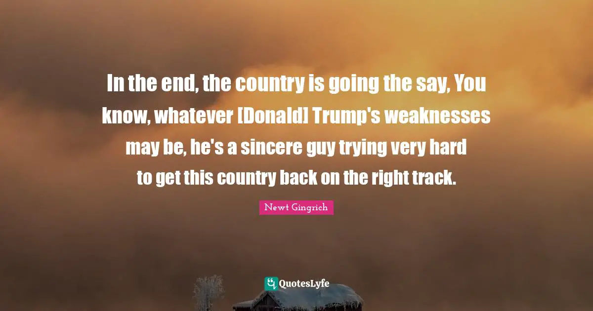 In the end, the country is going the say, You know, whatever [Donald] Trump's weaknesses may be, he's a sincere guy trying very hard to get this country back on the right track.