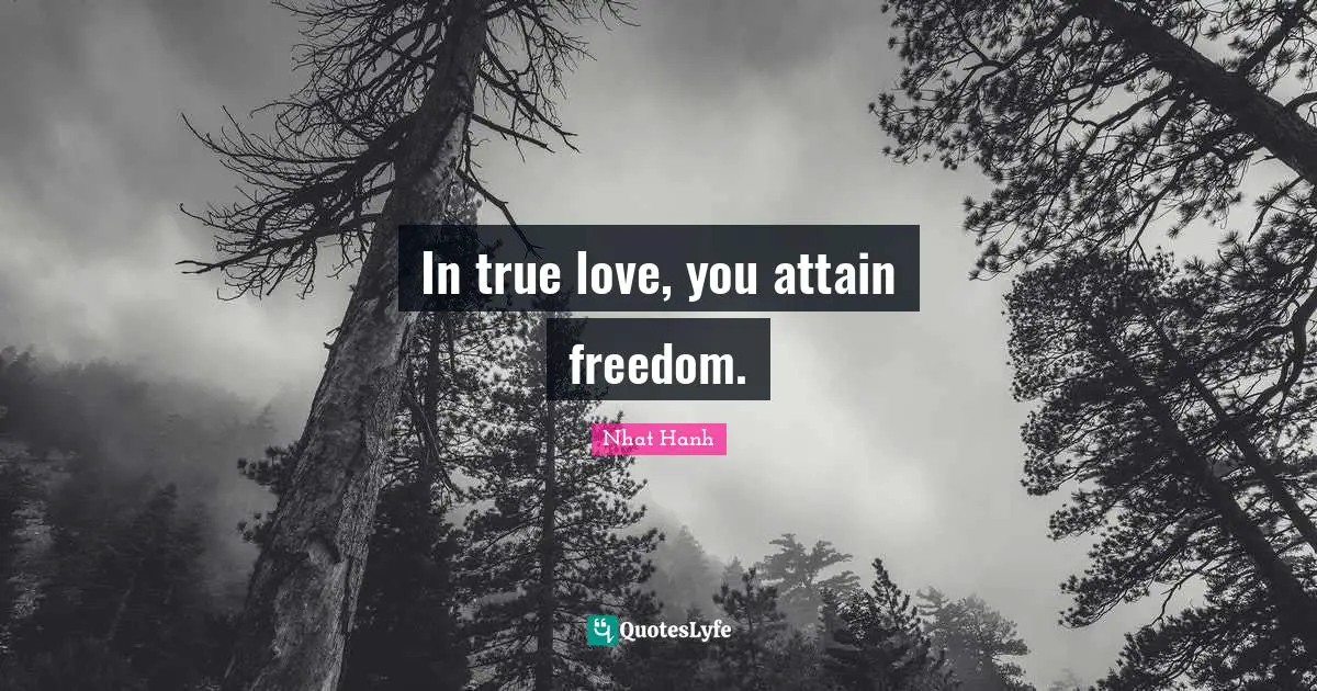 Personal Growth Quotes: "In true love, you attain freedom."
