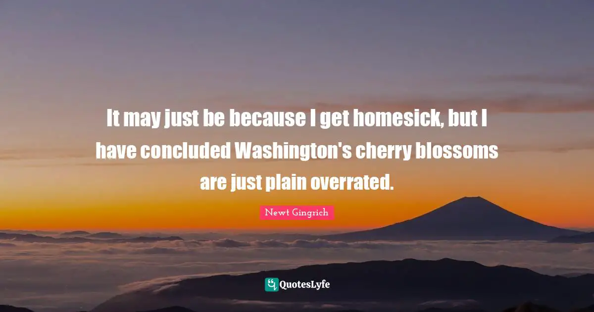 Newt Gingrich Quotes: "It may just be because I get homesick, but I have concluded Washington's cherry blossoms are just plain overrated."
