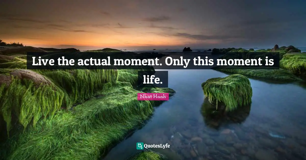 Live the actual moment. Only this moment is life.