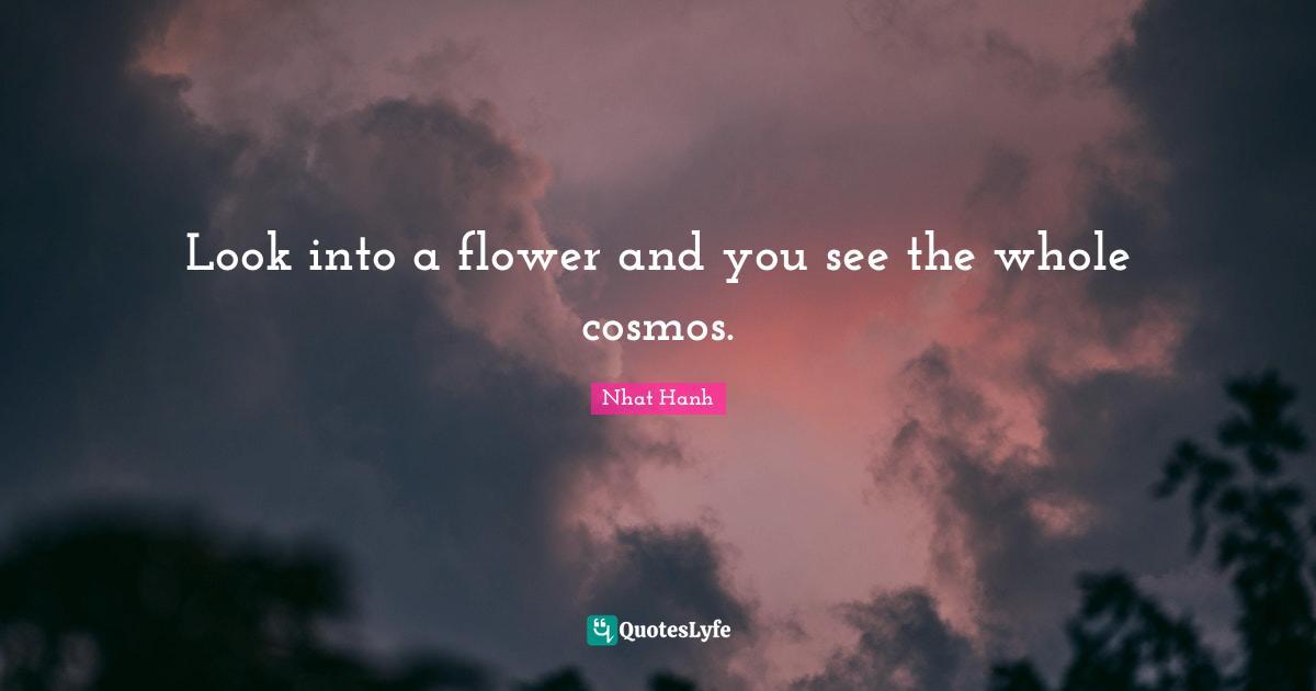 Look into a flower and you see the whole cosmos.