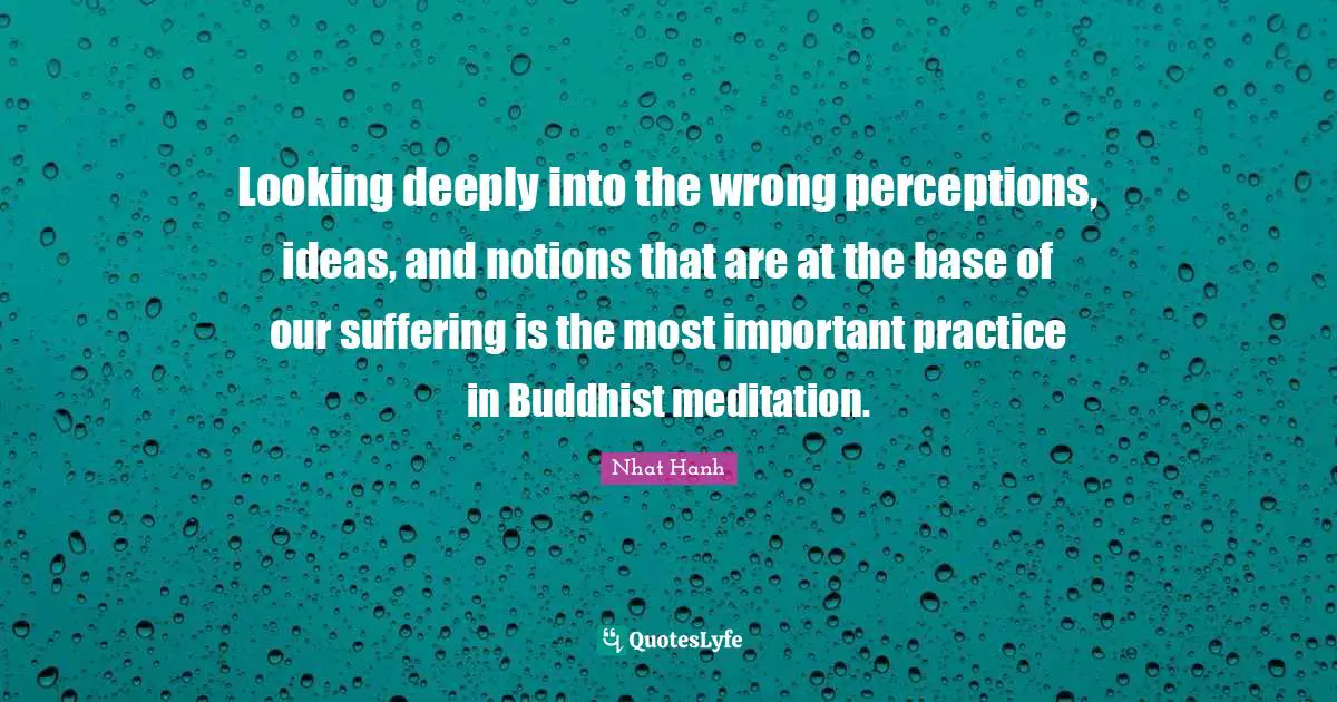 Looking deeply into the wrong perceptions, ideas, and notions that are at the base of our suffering is the most important practice in Buddhist meditation.