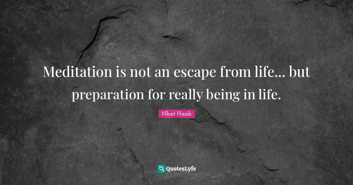 Meditation is not an escape from life... but preparation for really being in life.