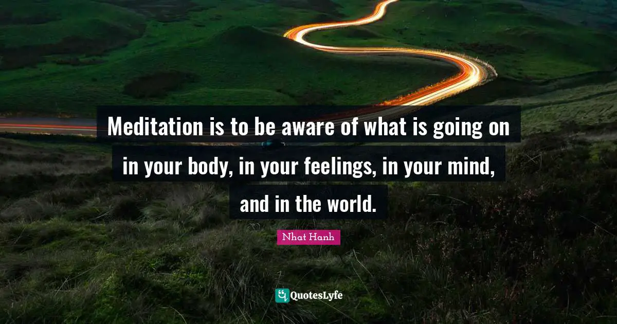 Meditation is to be aware of what is going on in your body, in your feelings, in your mind, and in the world.