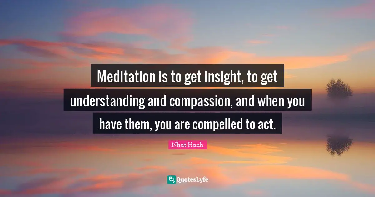 Meditation is to get insight, to get understanding and compassion, and when you have them, you are compelled to act.