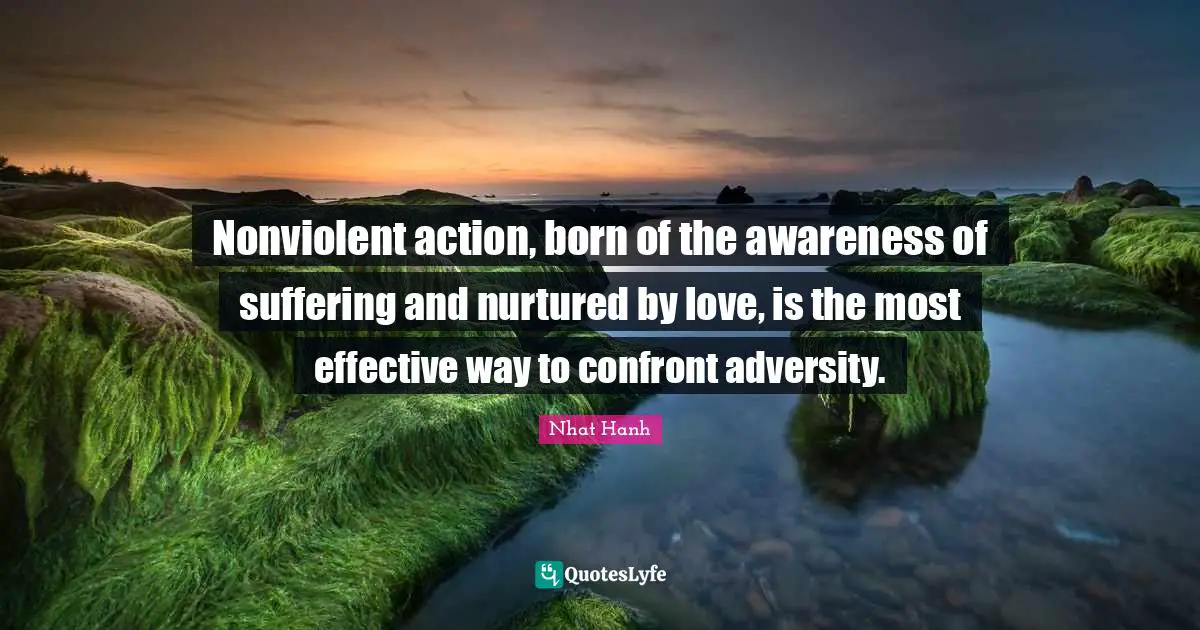 Nonviolent action, born of the awareness of suffering and nurtured by love, is the most effective way to confront adversity.