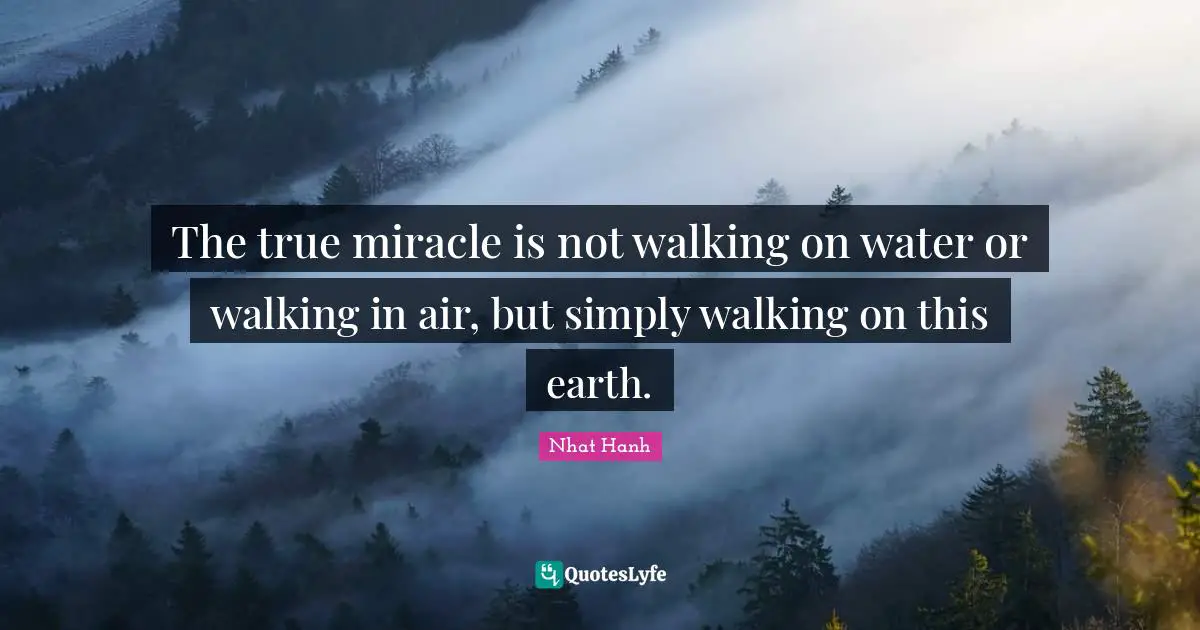 The true miracle is not walking on water or walking in air, but simply walking on this earth.