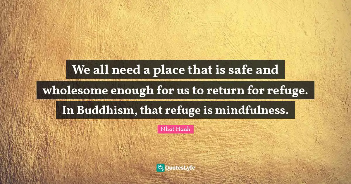 We all need a place that is safe and wholesome enough for us to return for refuge. In Buddhism, that refuge is mindfulness.