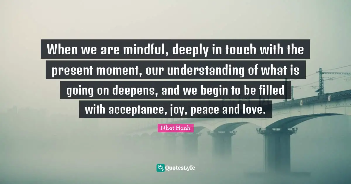 When we are mindful, deeply in touch with the present moment, our understanding of what is going on deepens, and we begin to be filled with acceptance, joy, peace and love.
