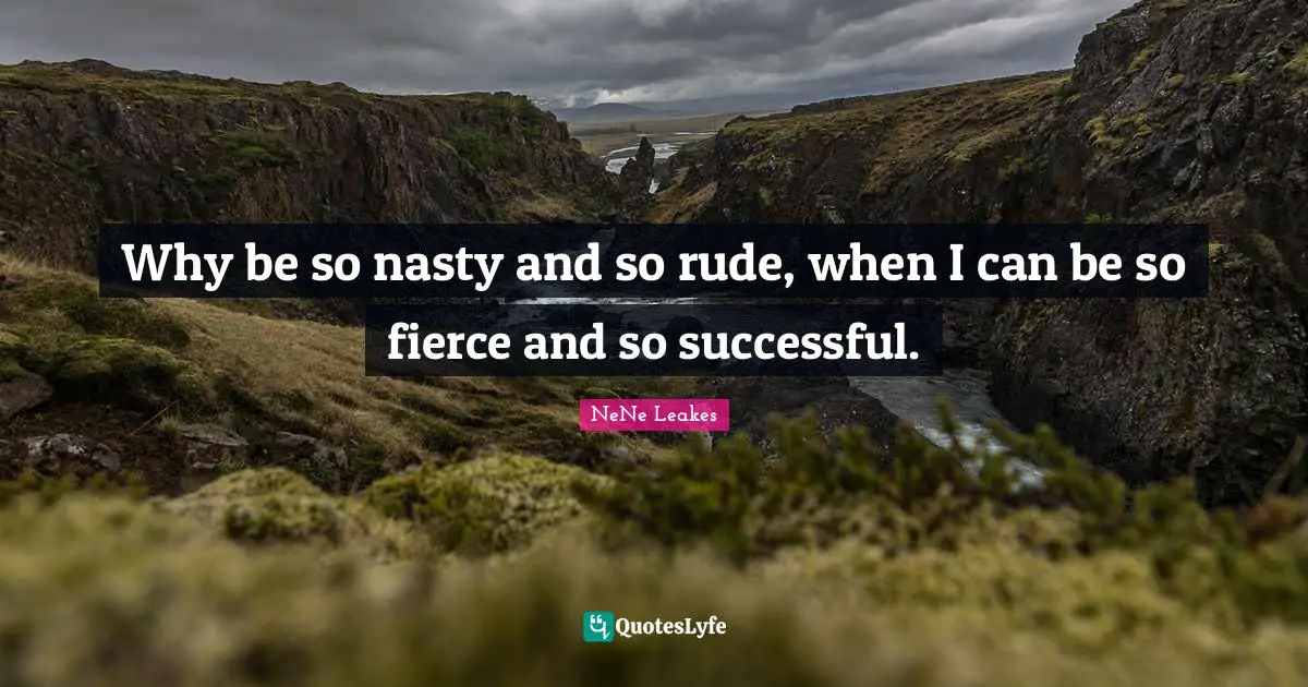 Why be so nasty and so rude, when I can be so fierce and so successful.