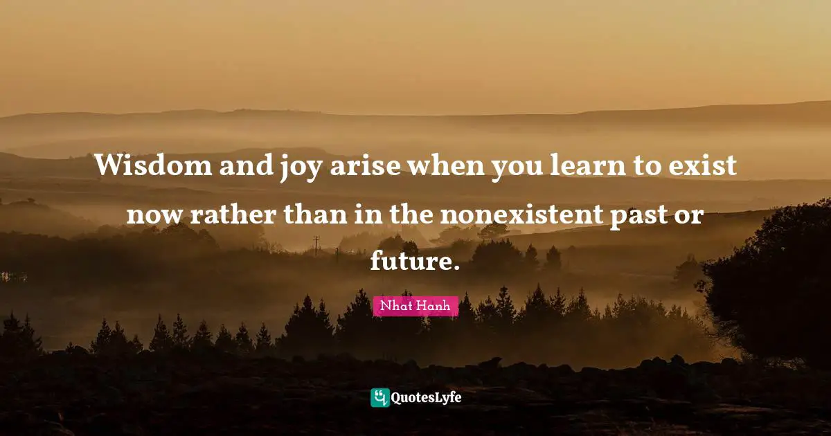 Wisdom and joy arise when you learn to exist now rather than in the nonexistent past or future.