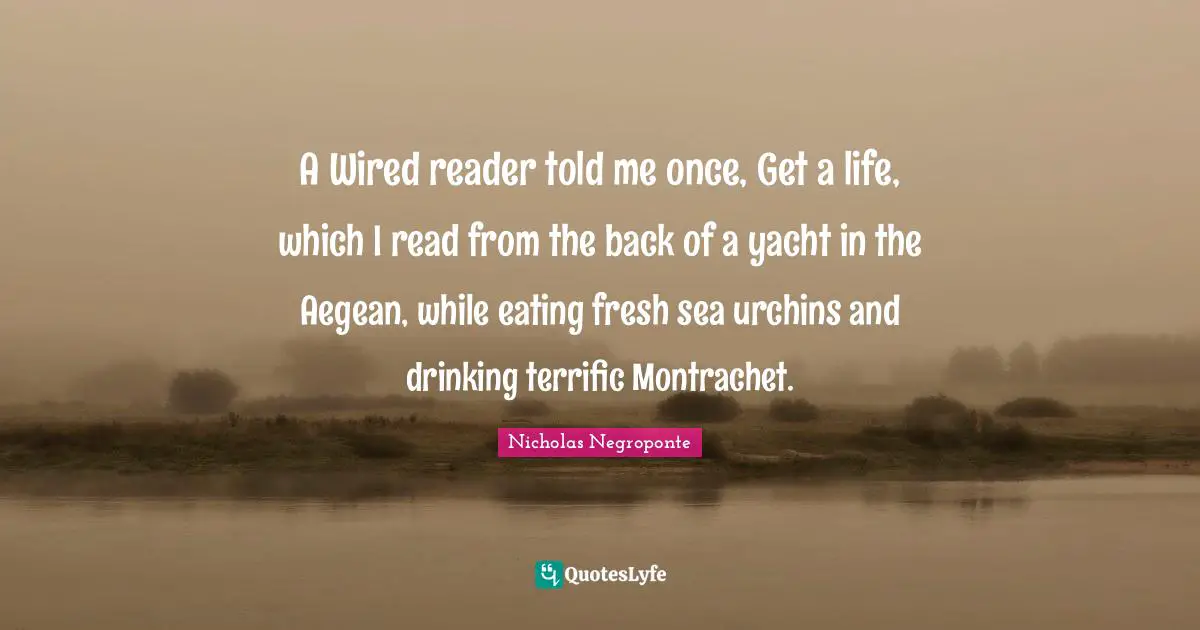 A Wired reader told me once, Get a life, which I read from the back of a yacht in the Aegean, while eating fresh sea urchins and drinking terrific Montrachet.