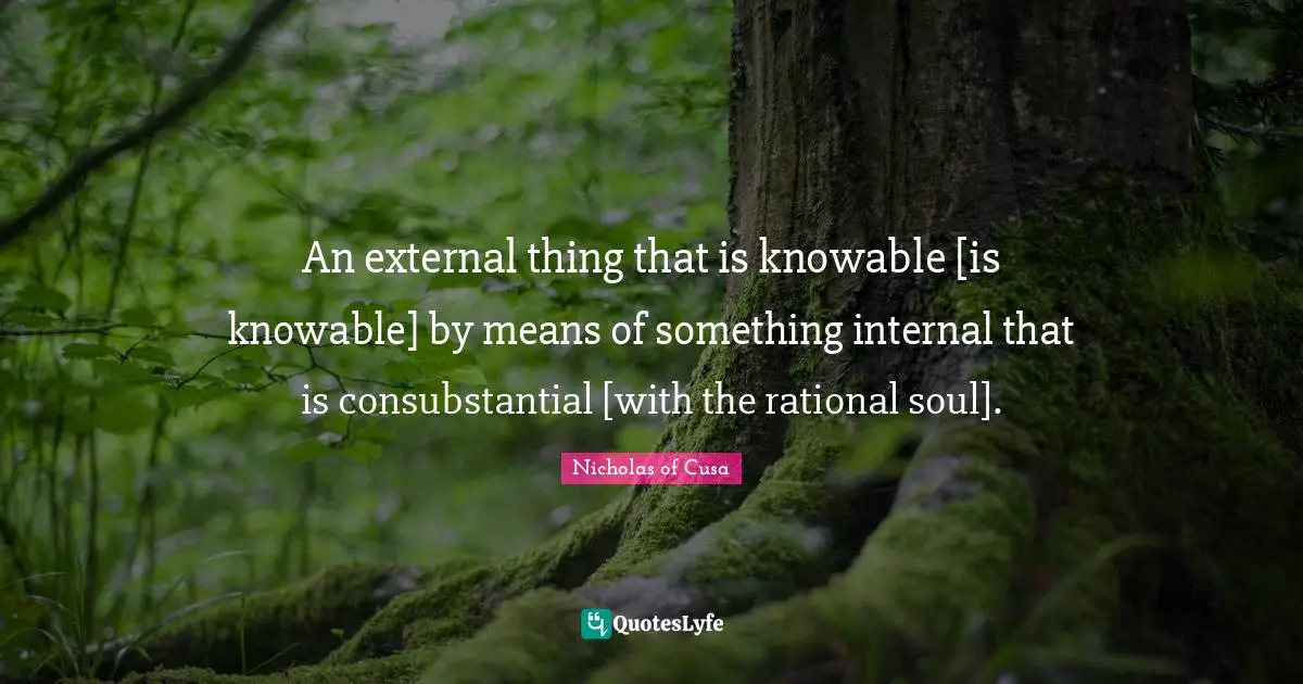 An external thing that is knowable [is knowable] by means of something internal that is consubstantial [with the rational soul].