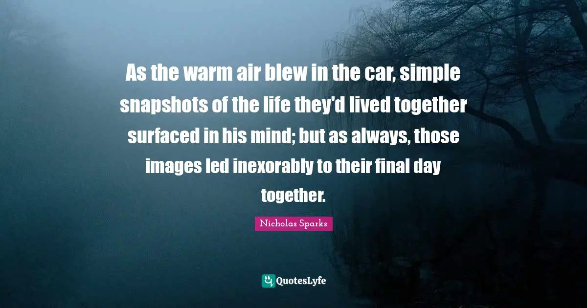 As the warm air blew in the car, simple snapshots of the life they'd lived together surfaced in his mind; but as always, those images led inexorably to their final day together.