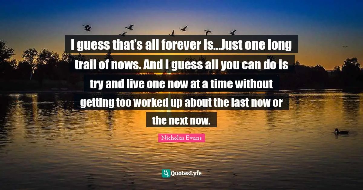 I guess that’s all forever is...Just one long trail of nows. And I guess all you can do is try and live one now at a time without getting too worked up about the last now or the next now.