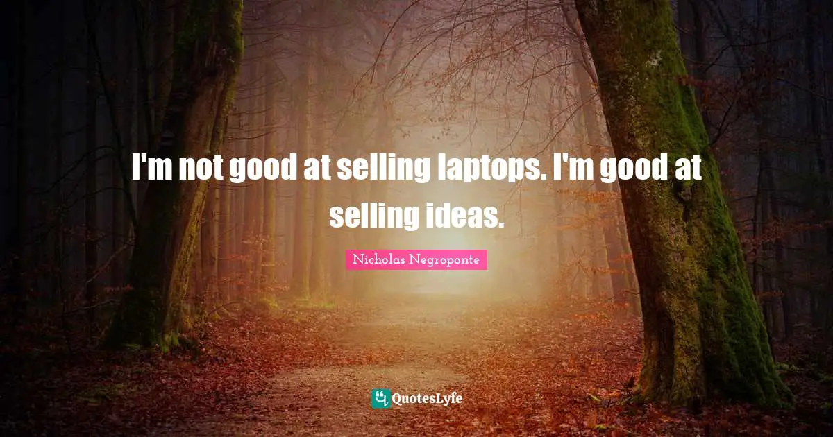 I'm not good at selling laptops. I'm good at selling ideas.