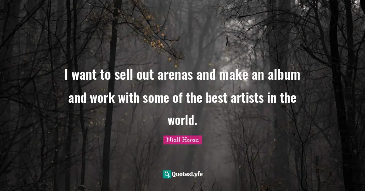 I want to sell out arenas and make an album and work with some of the best artists in the world.