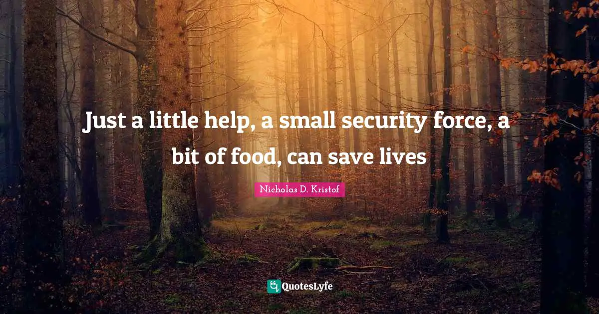 Nicholas D. Kristof Quotes: "Just a little help, a small security force, a bit of food, can save lives"