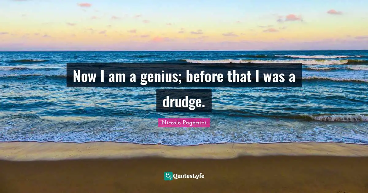 Now I am a genius; before that I was a drudge.